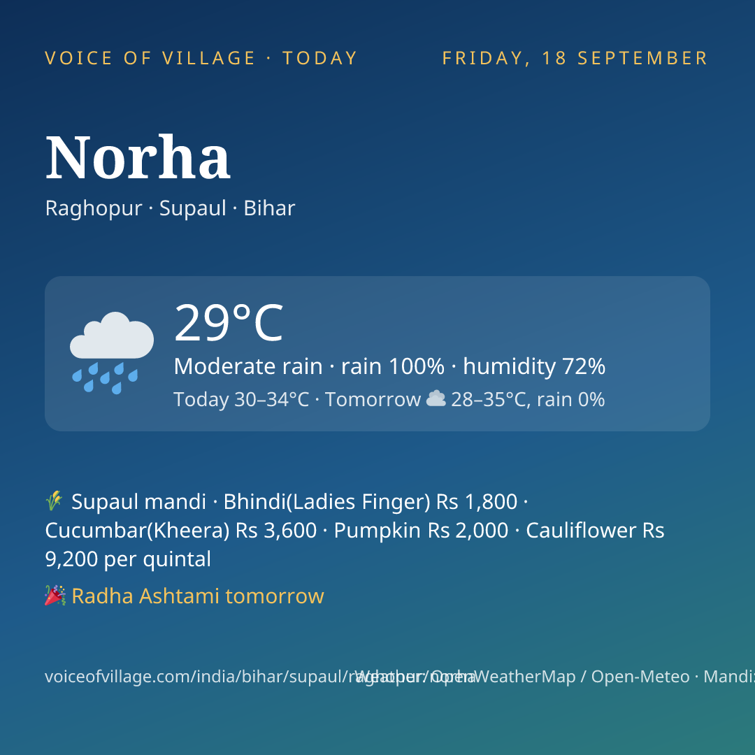 Norha today