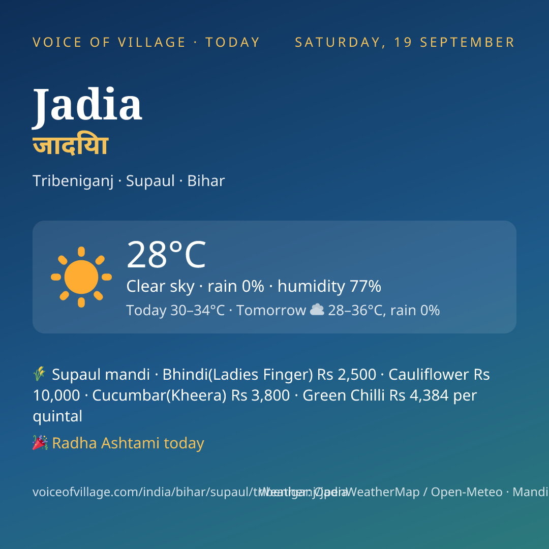 Jadia today