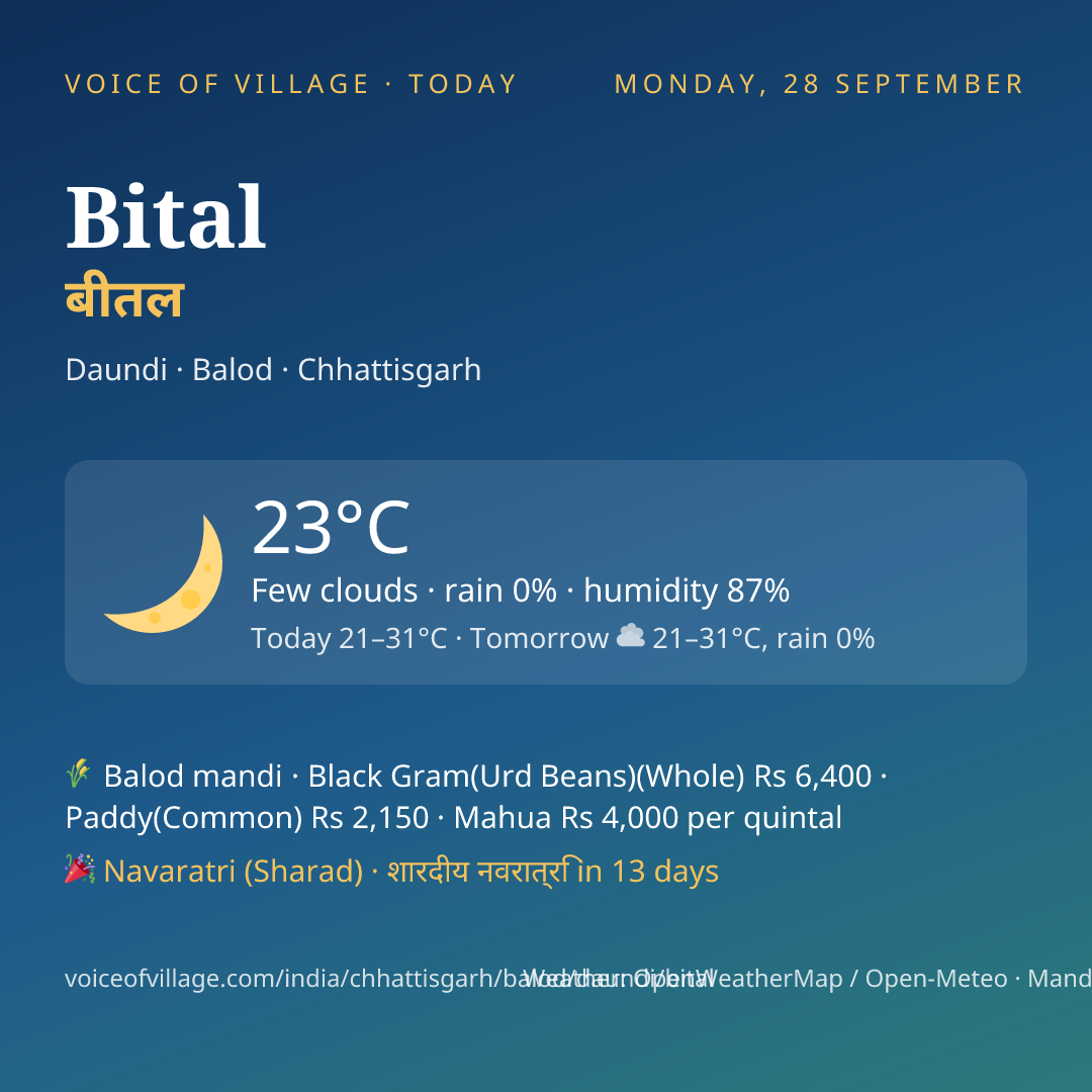 Bital today