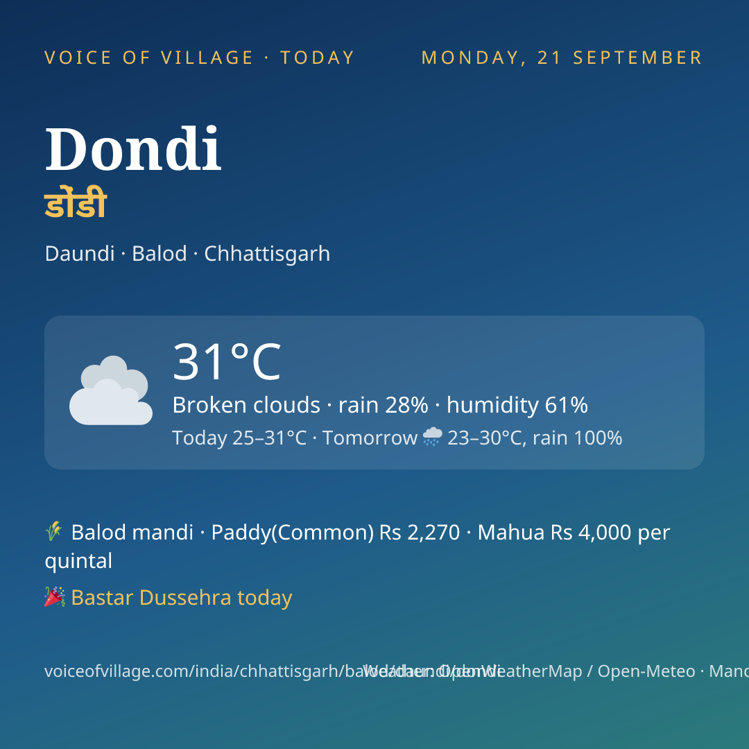 Dondi today