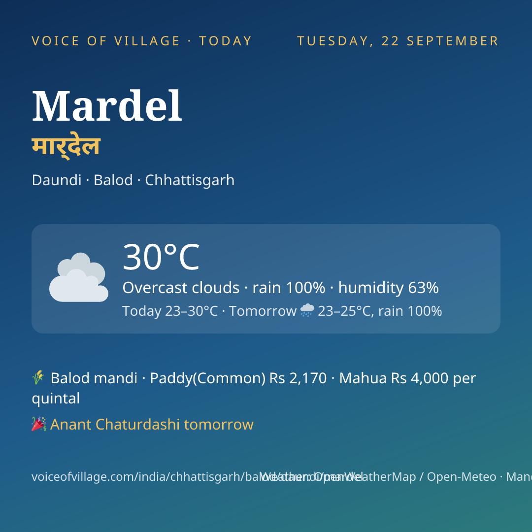 Mardel today