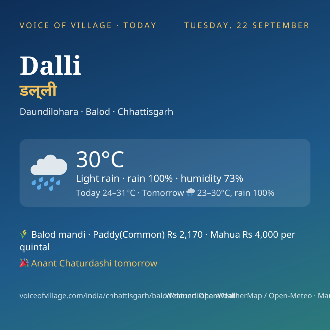 Dalli today