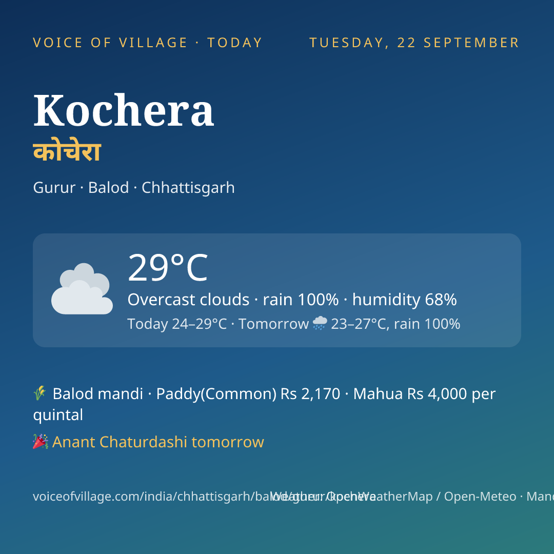 Kochera today