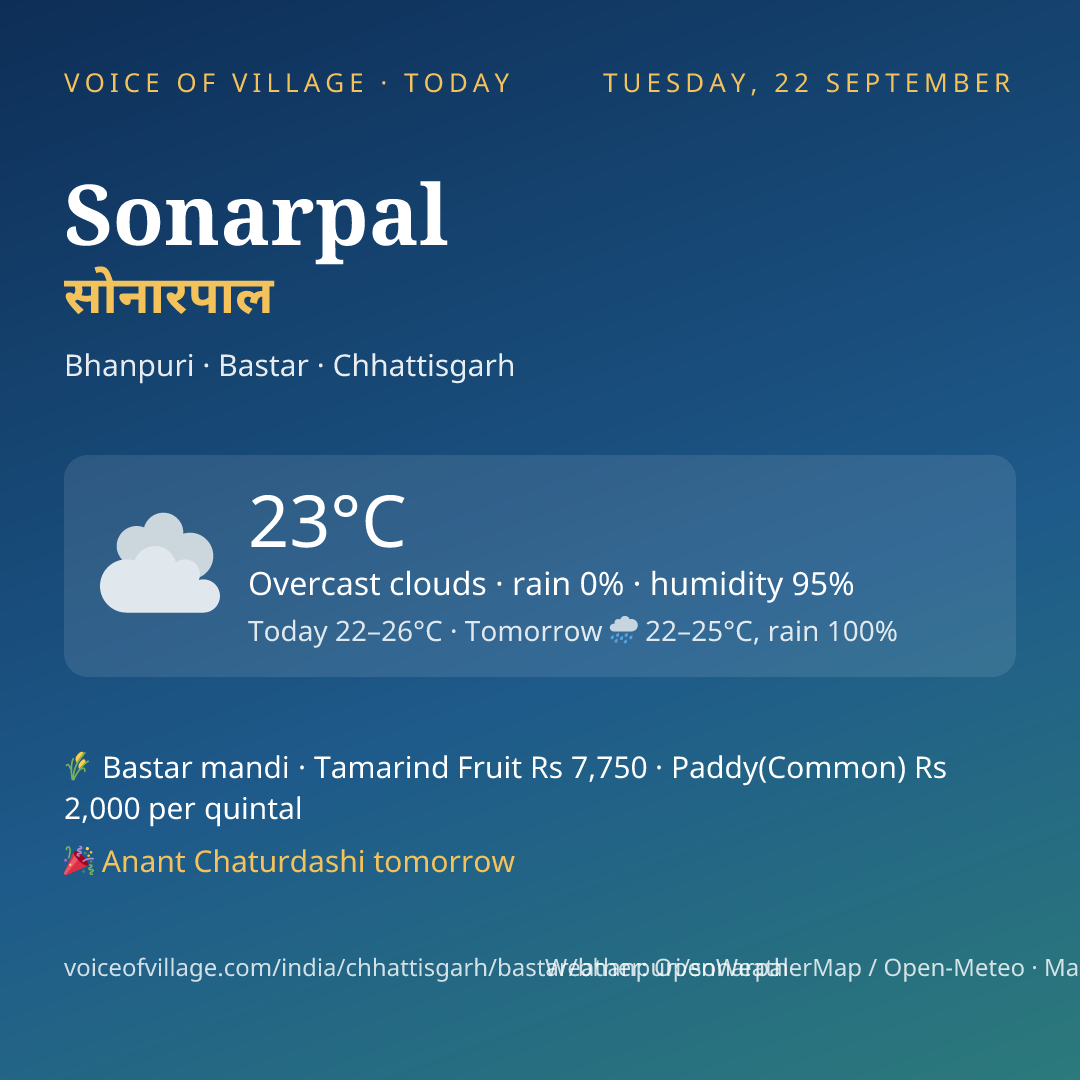 Sonarpal today