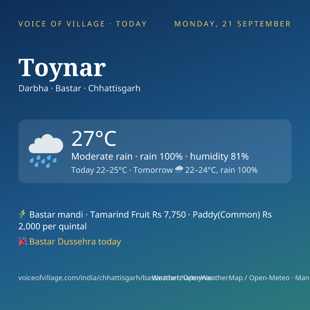 Toynar today