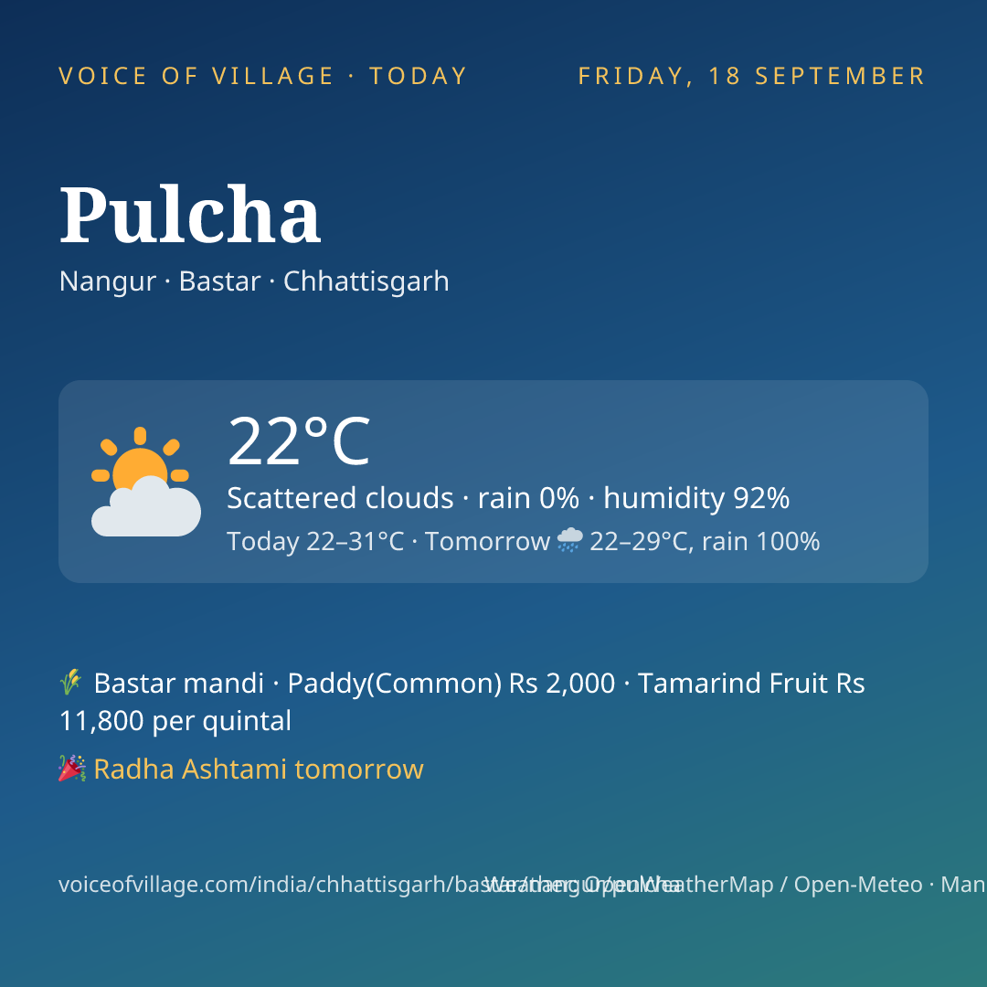 Pulcha today