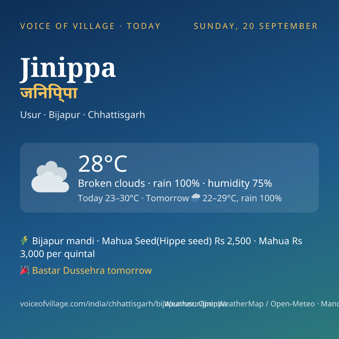 Jinippa today