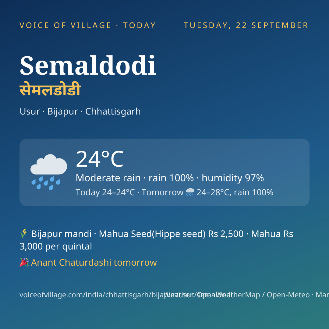Semaldodi today
