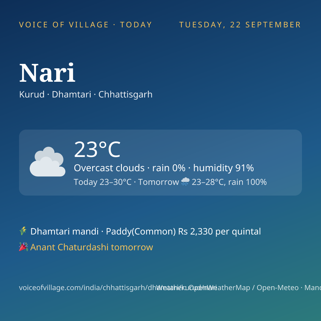 Nari today