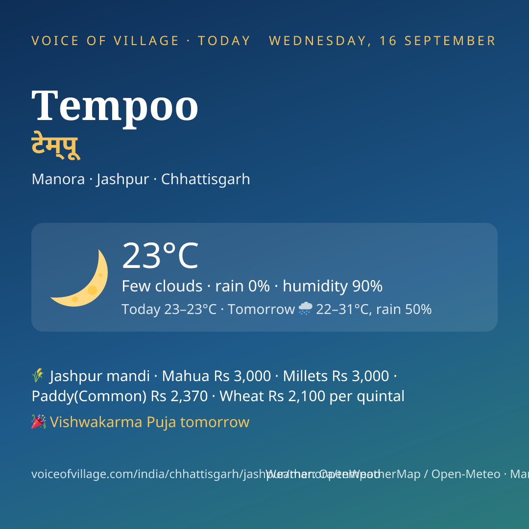 Tempoo today
