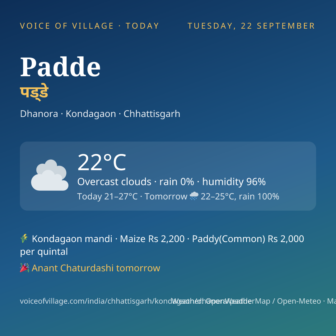 Padde today