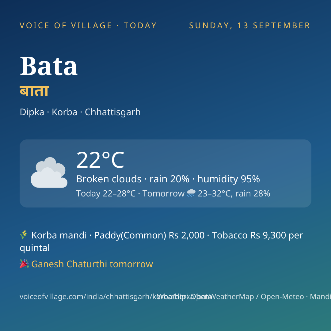 Bata today