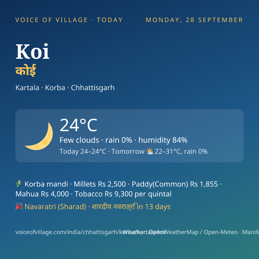 Koi today