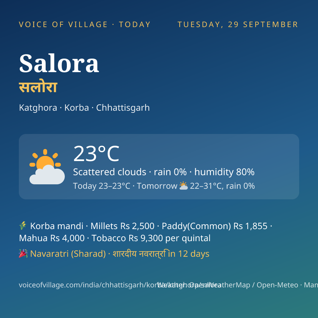 Salora today