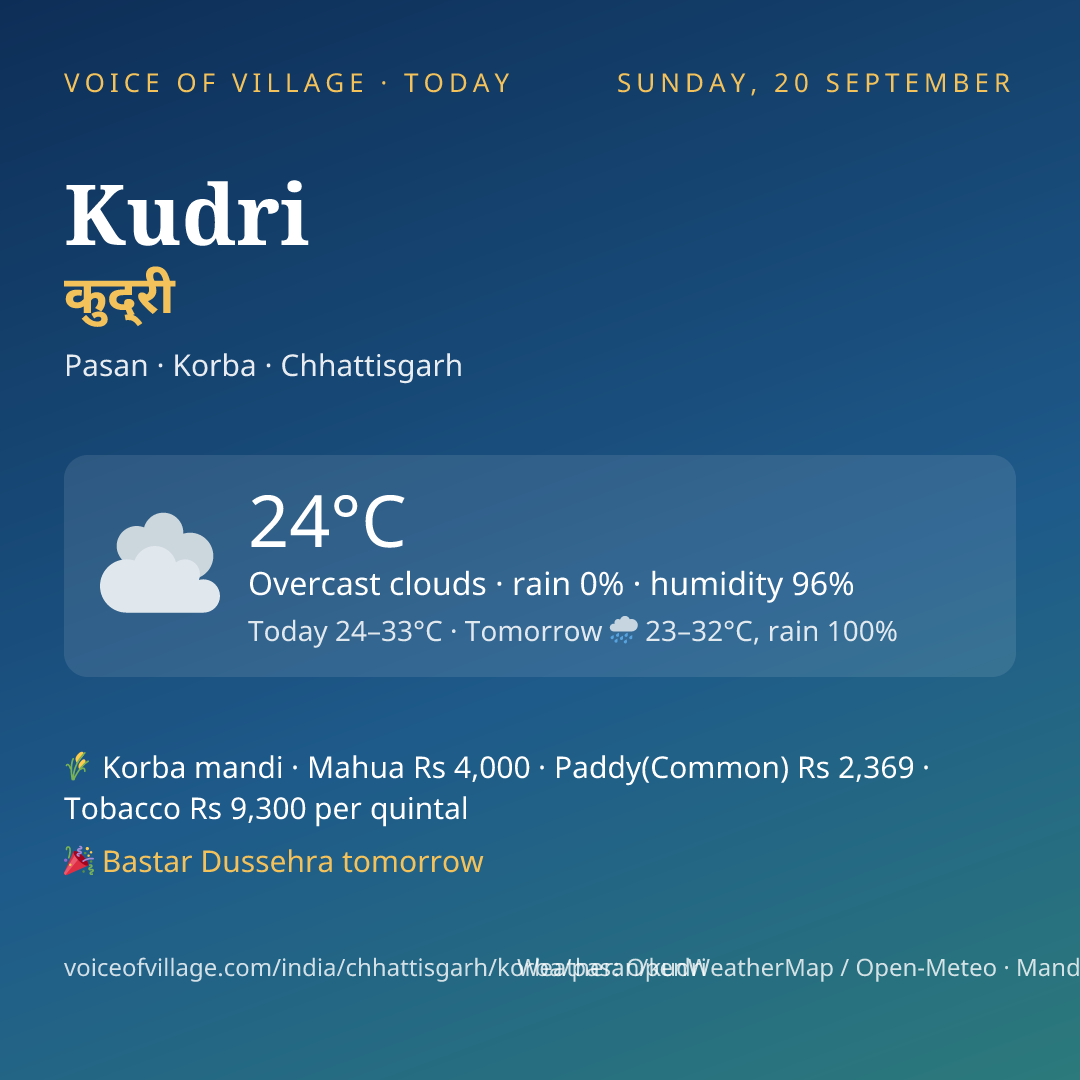 Kudri today