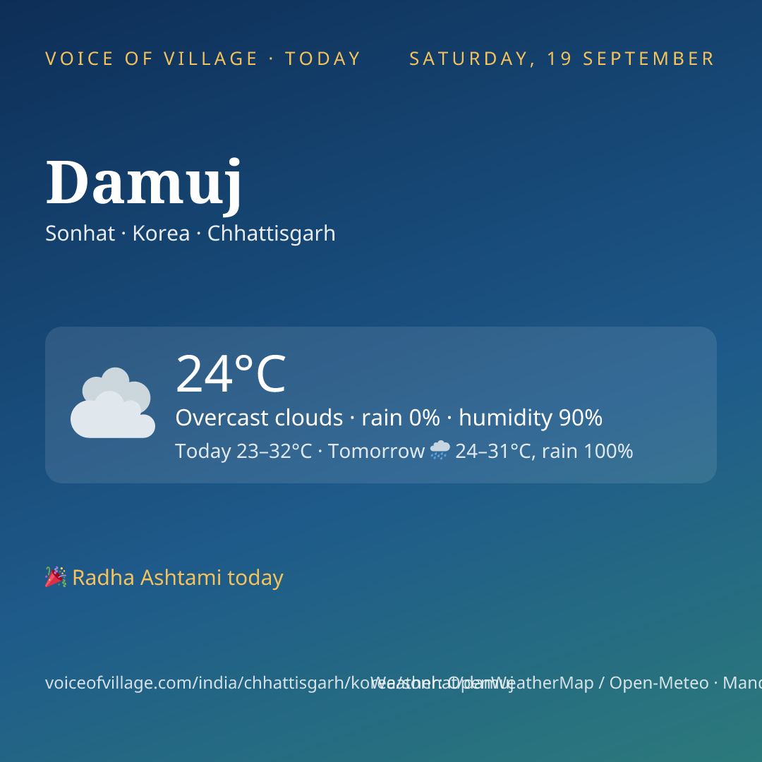 Damuj today