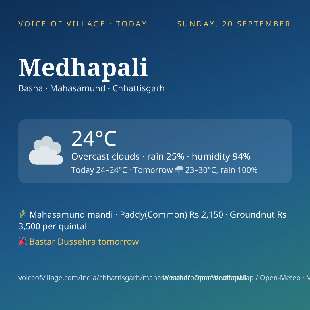 Medhapali today