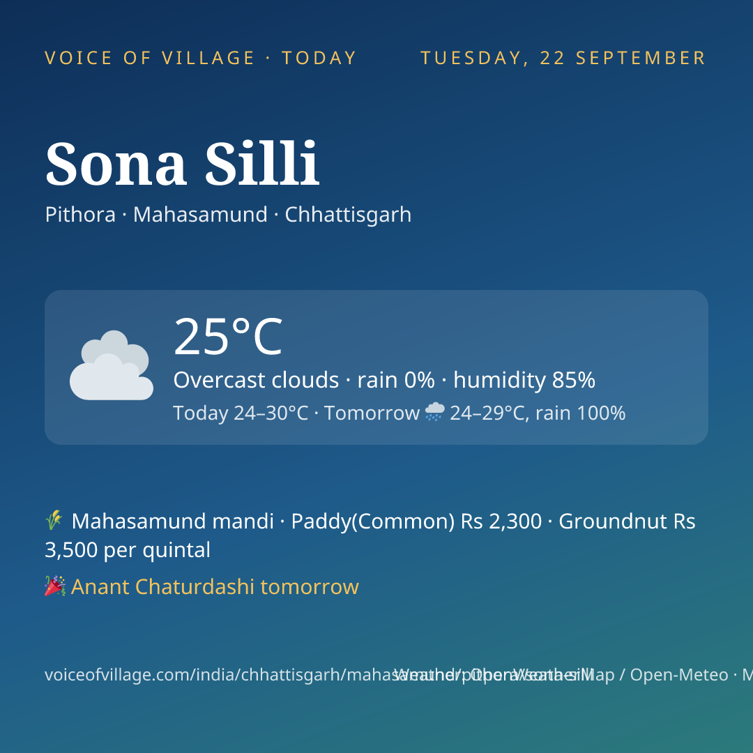 Sona Silli today