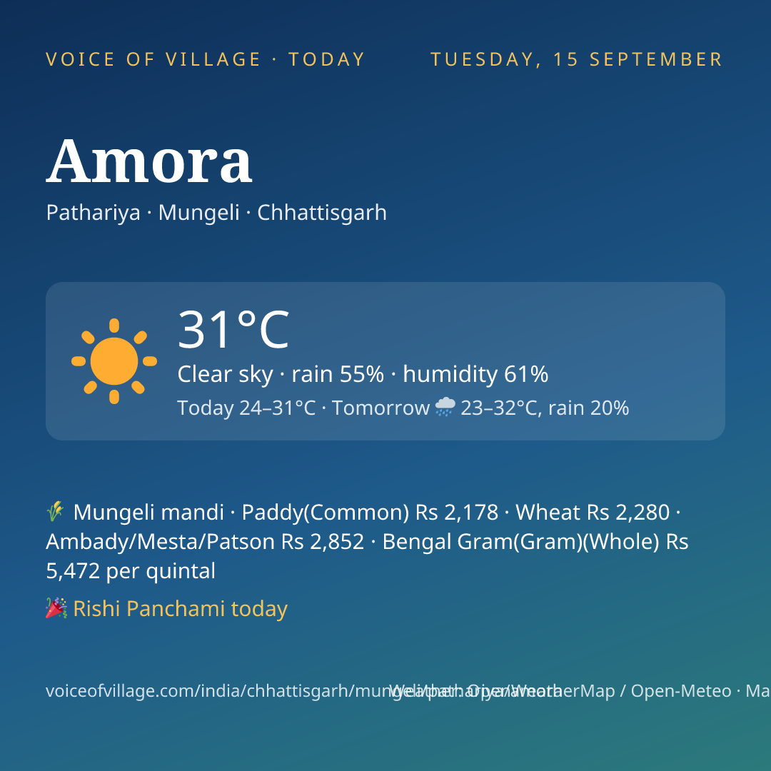 Amora today