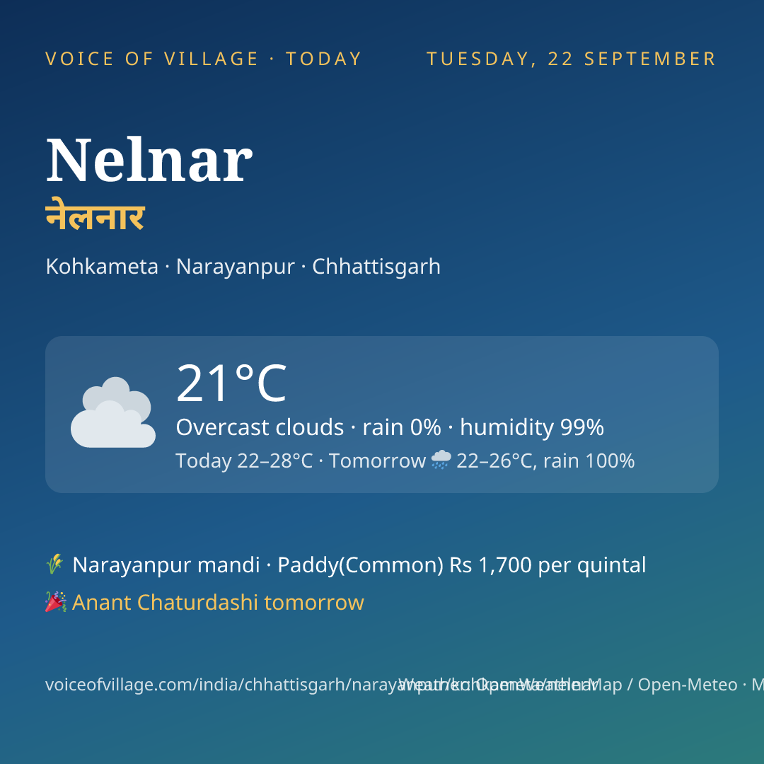 Nelnar today