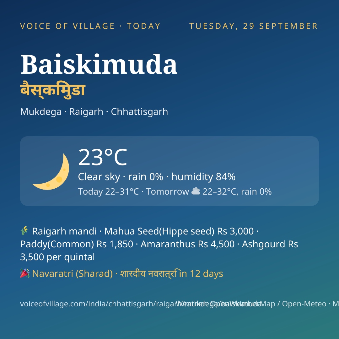 Baiskimuda today