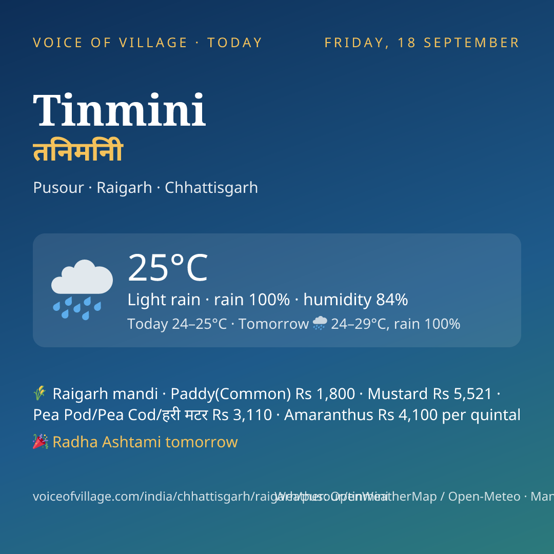 Tinmini today