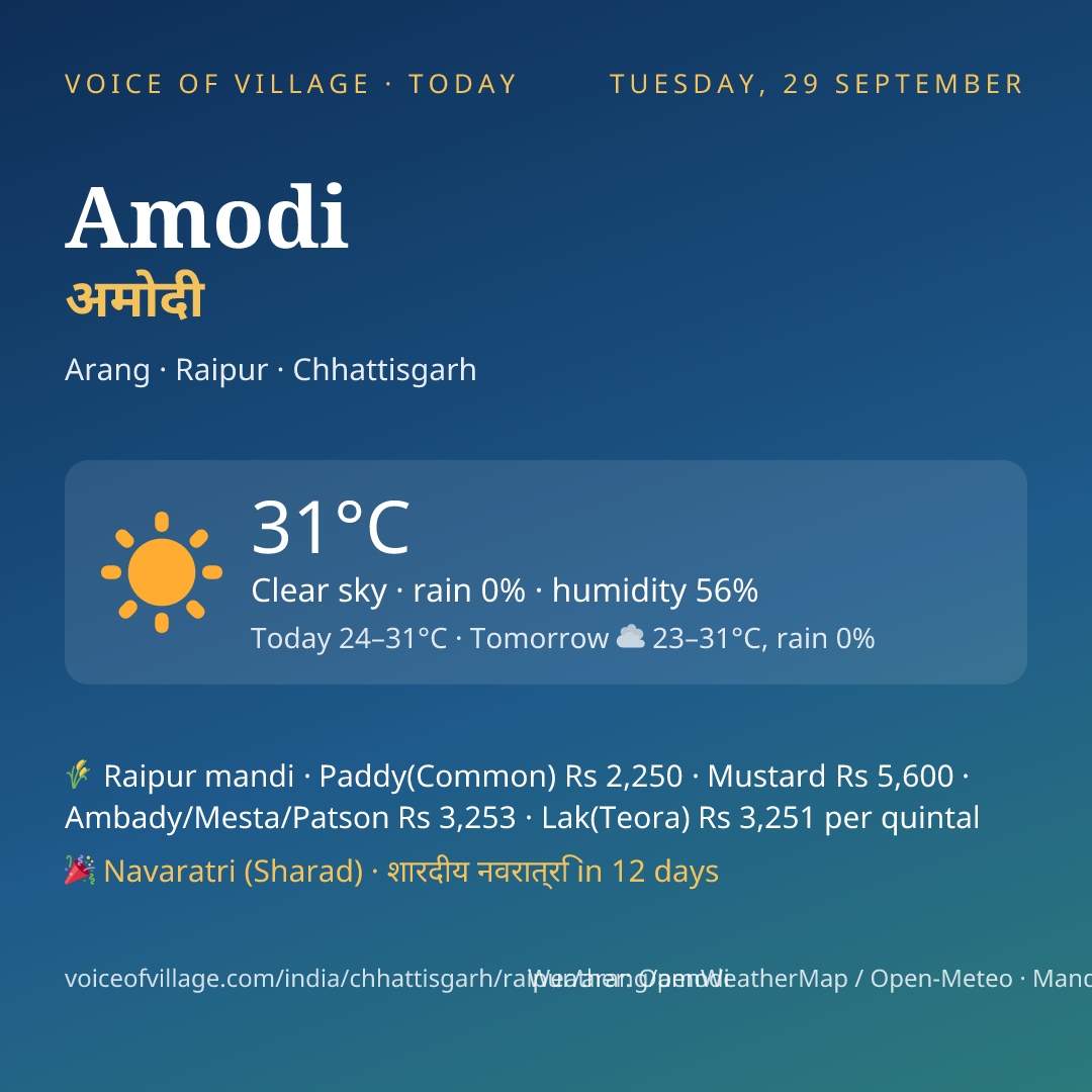 Amodi today
