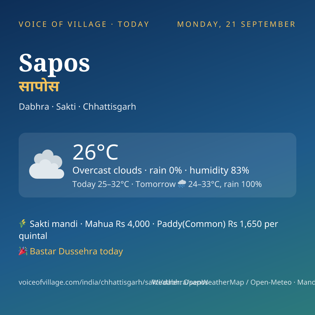 Sapos today