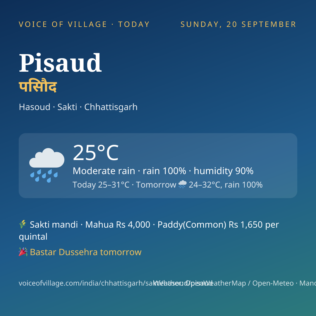 Pisaud today