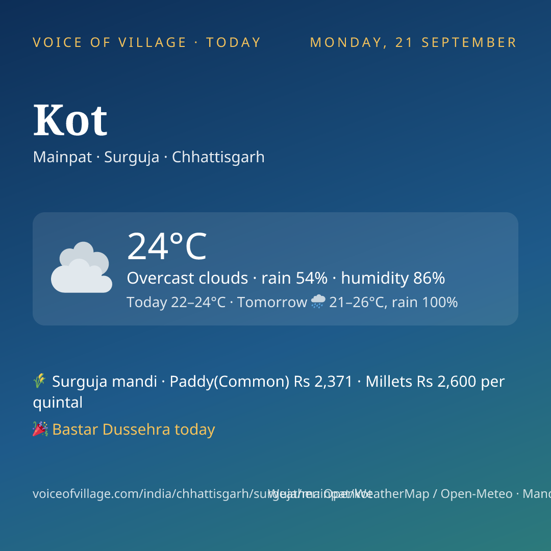 Kot today