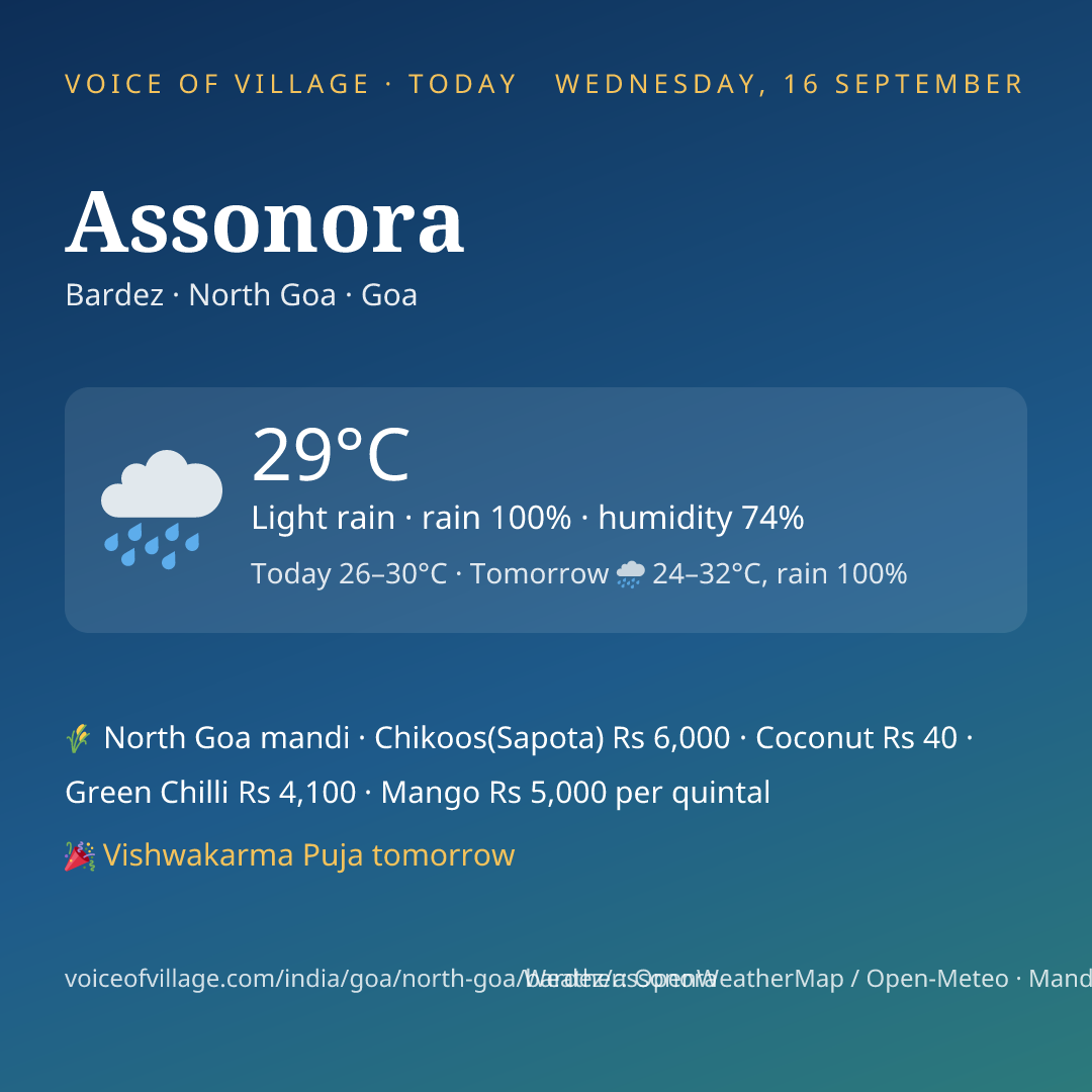 Assonora today