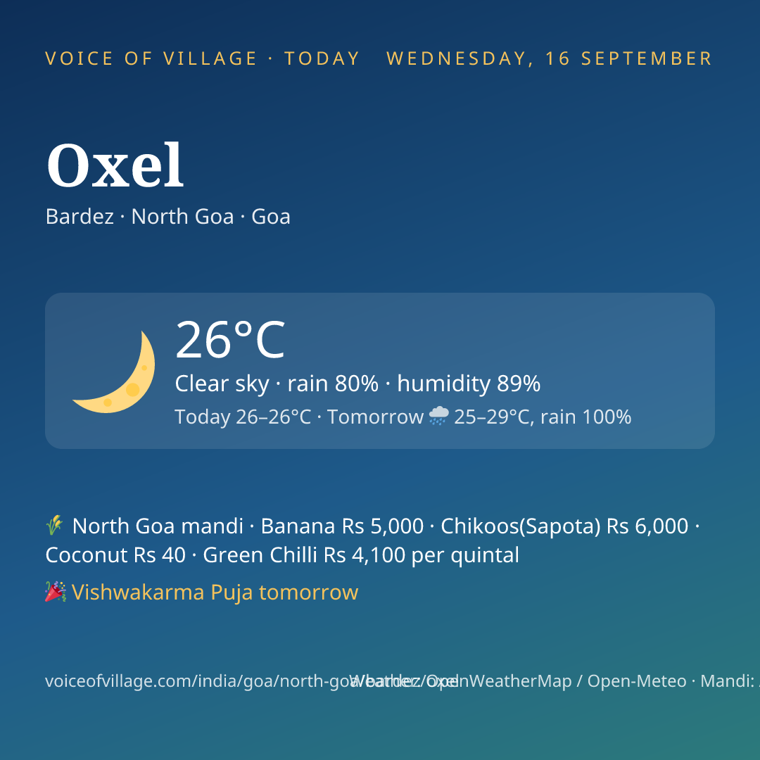 Oxel today