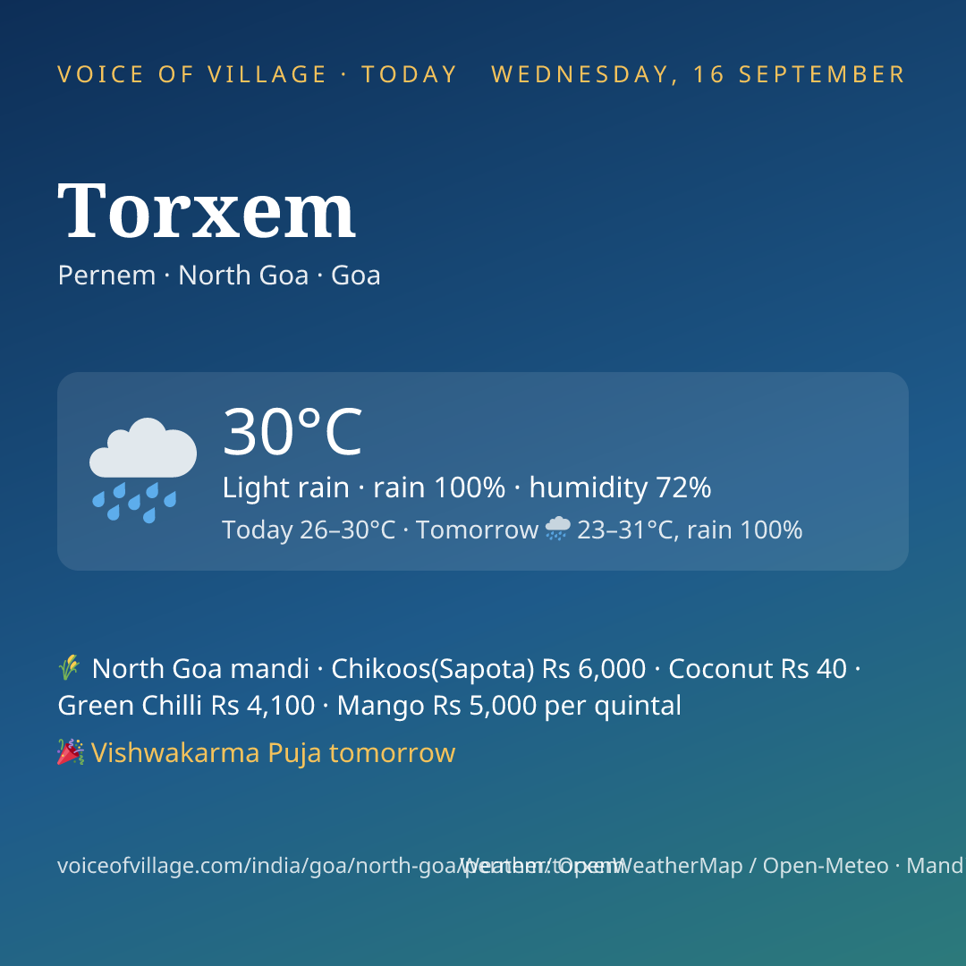 Torxem today