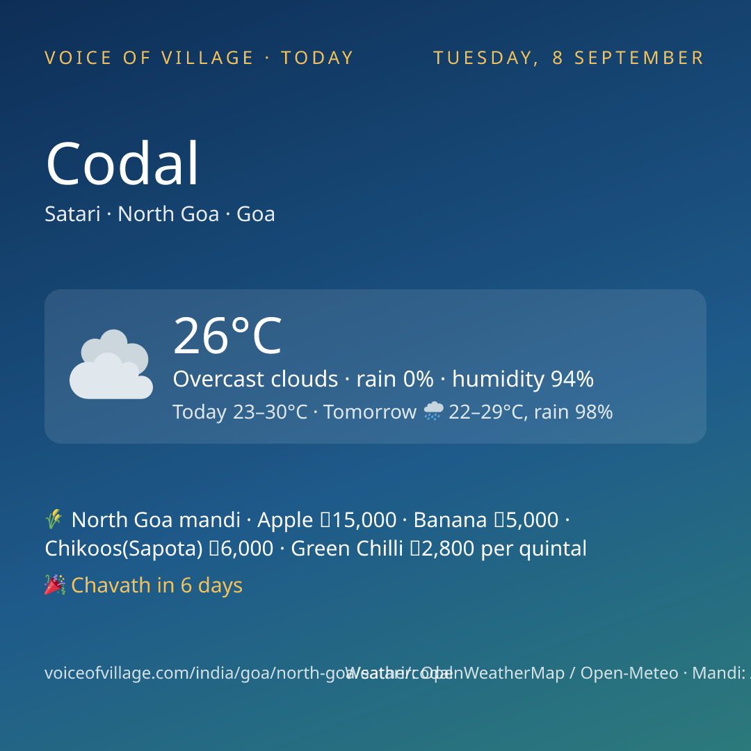 Codal today