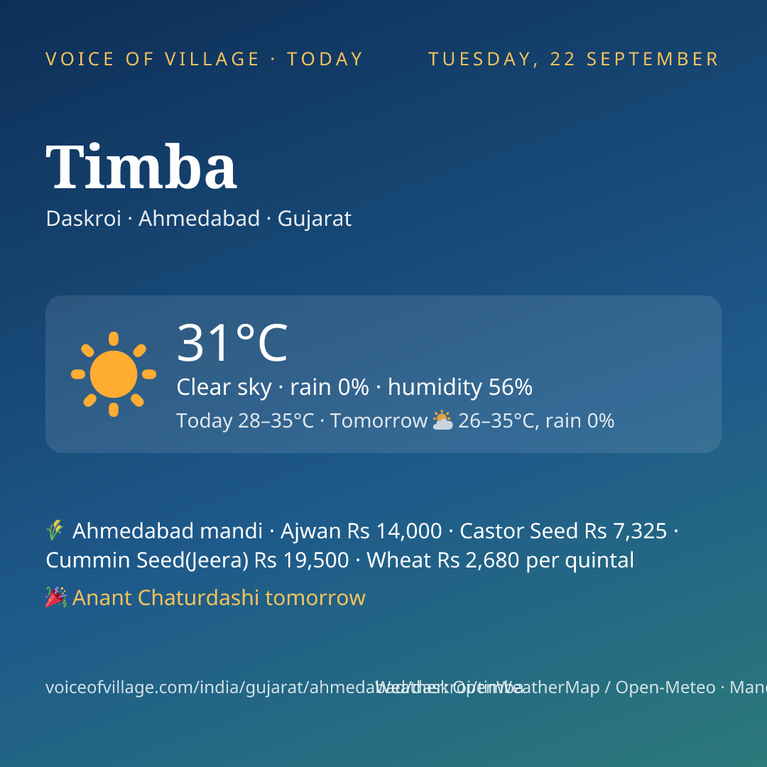 Timba today