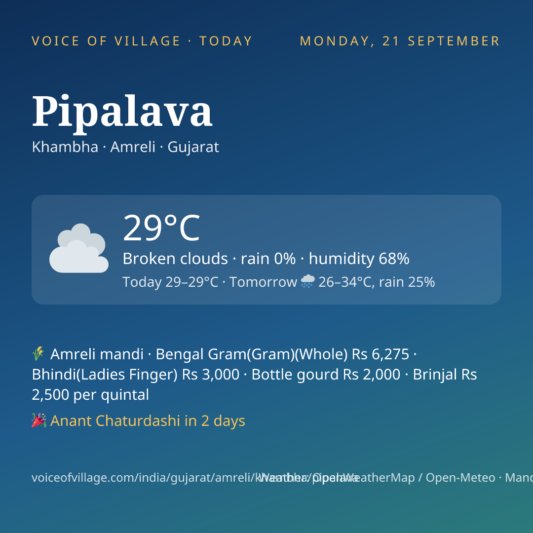Pipalava today