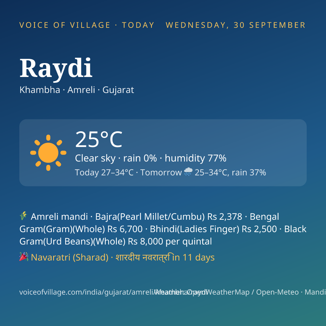 Raydi today