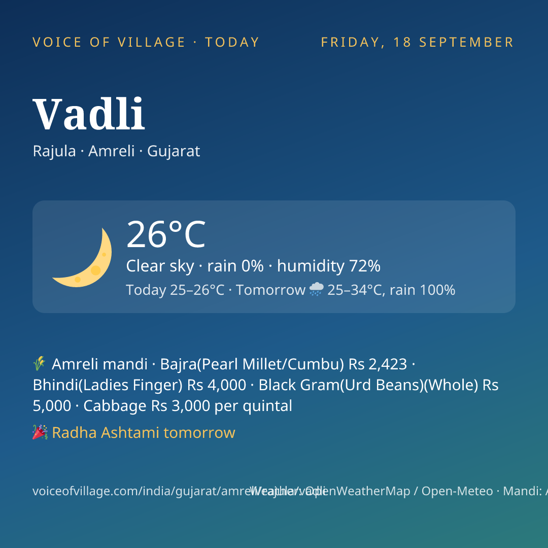 Vadli today