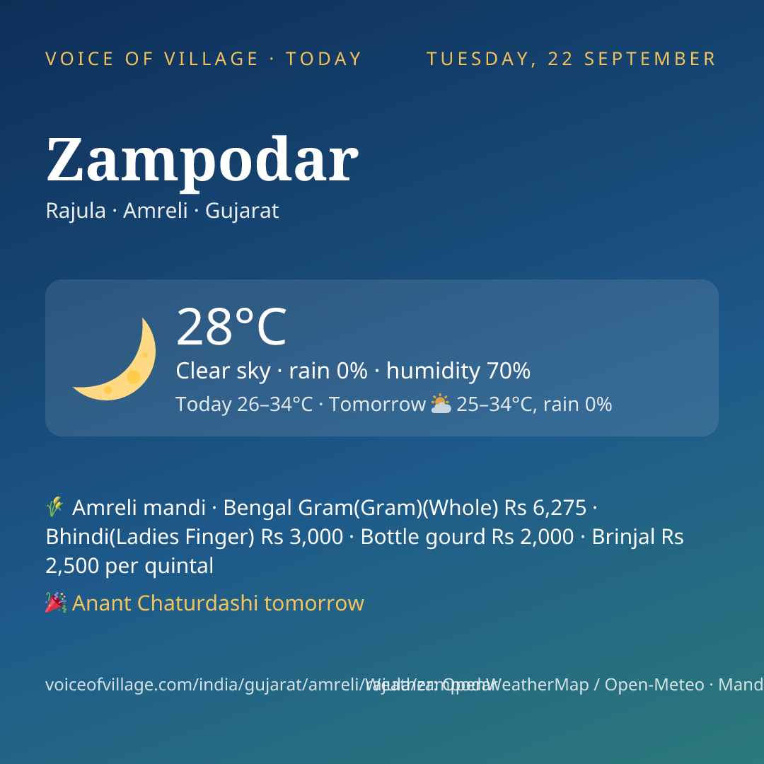 Zampodar today