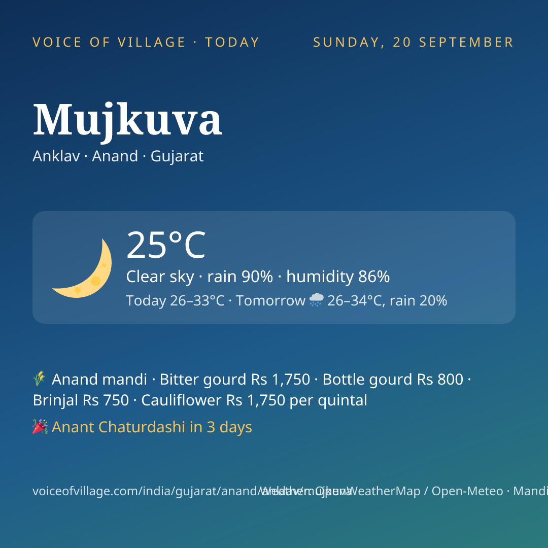 Mujkuva today