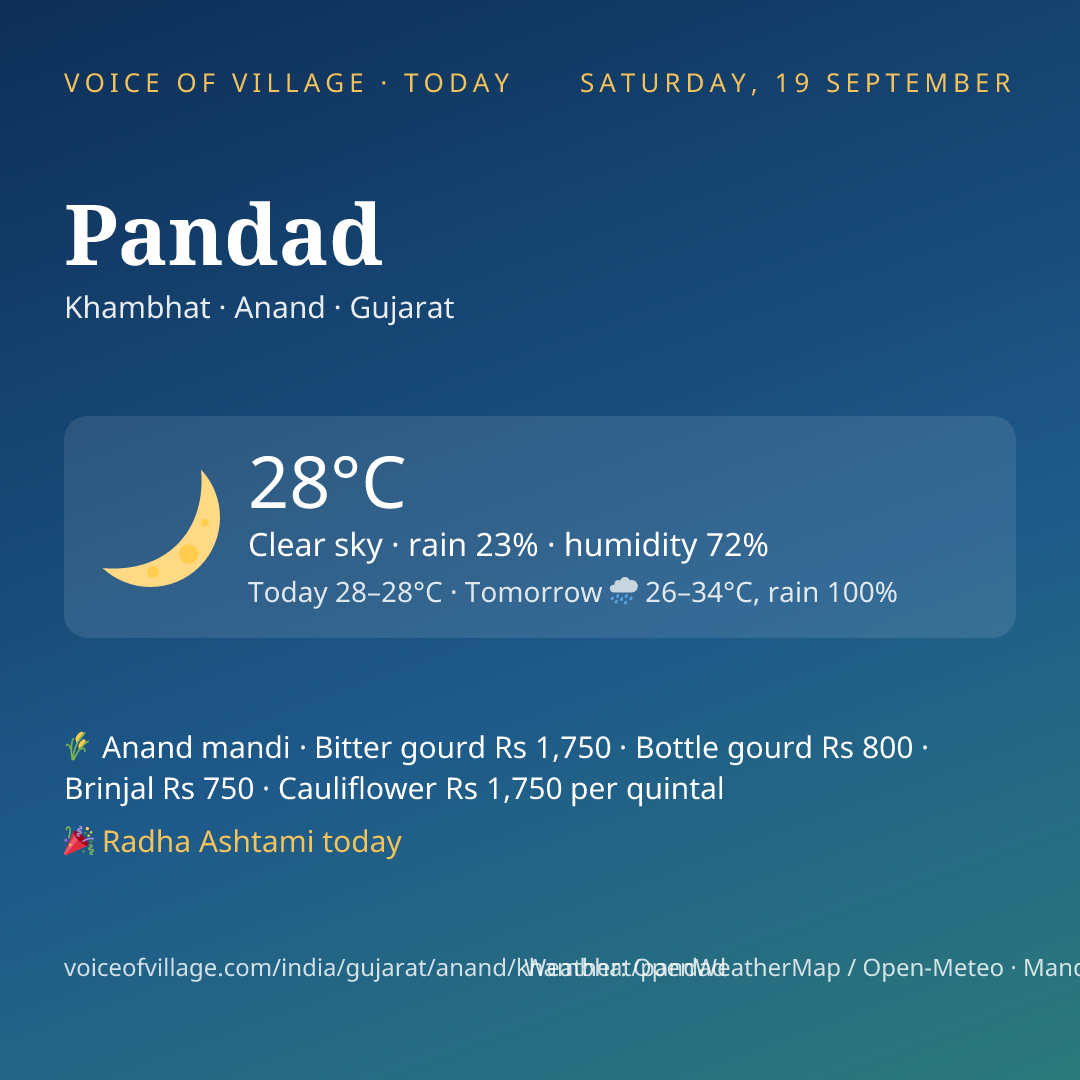 Pandad today