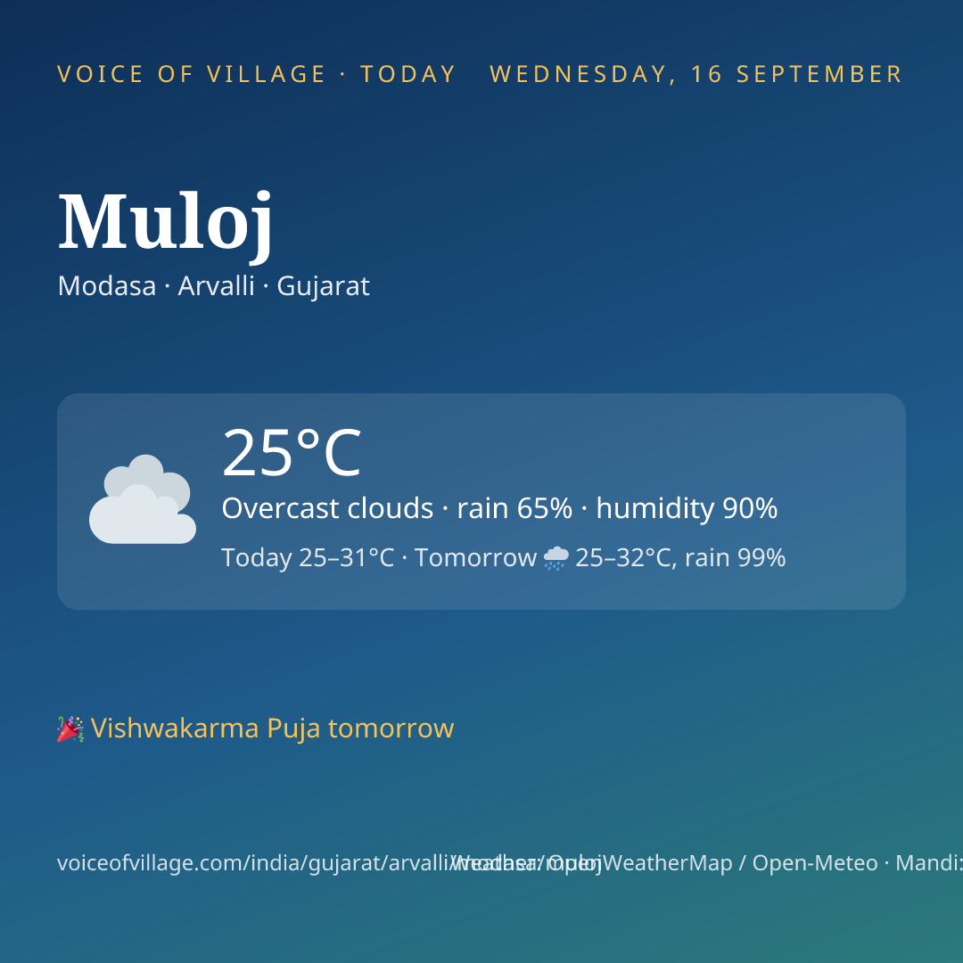 Muloj today