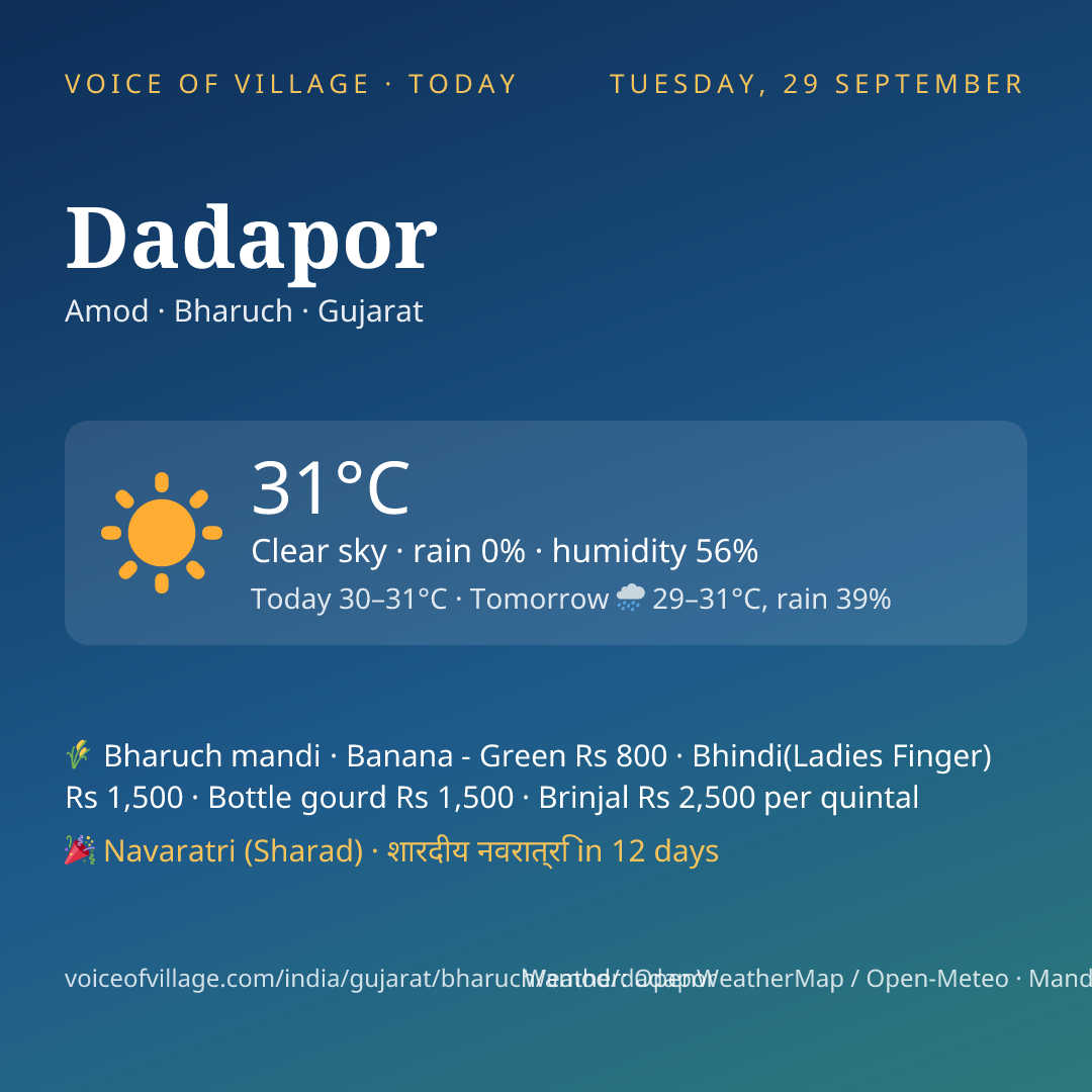 Dadapor today