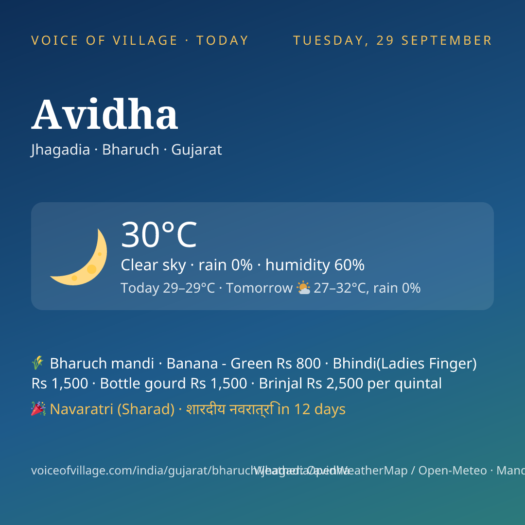 Avidha today