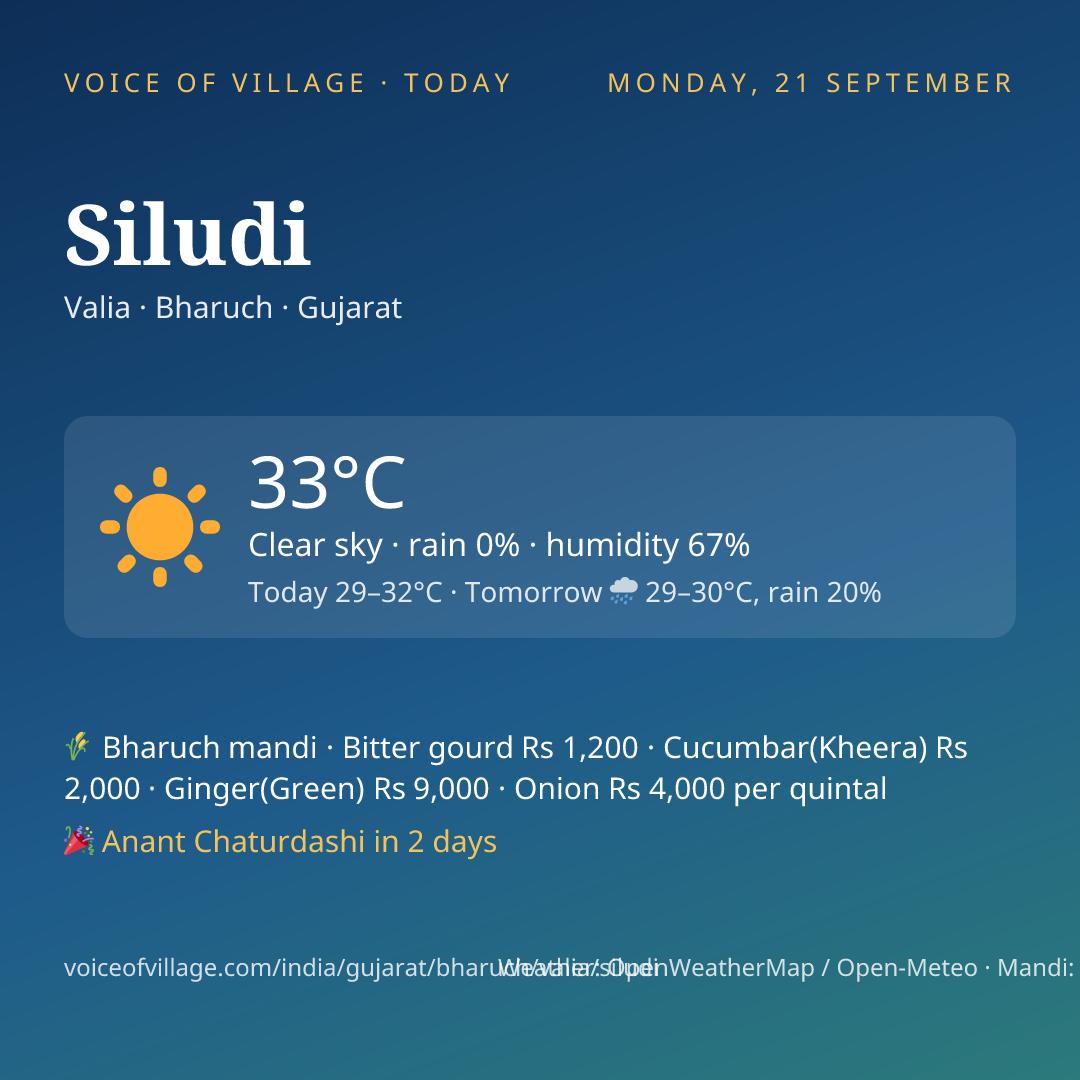 Siludi today
