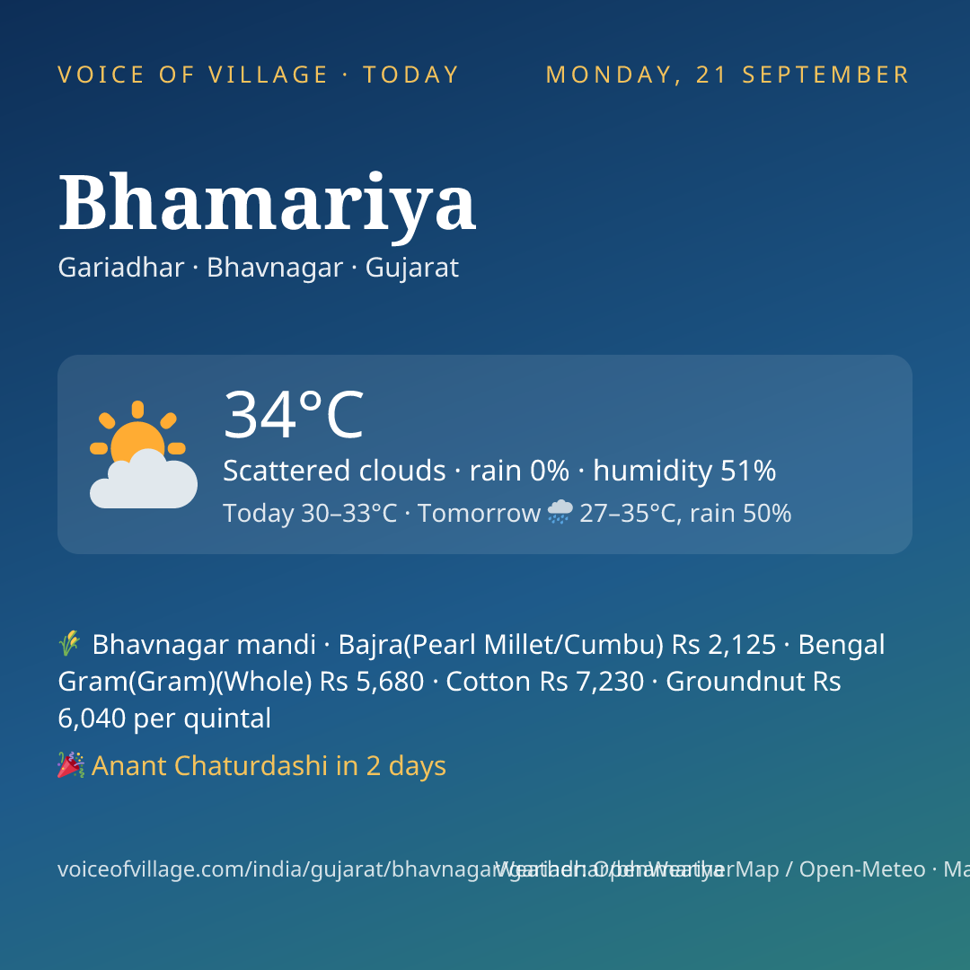 Bhamariya today