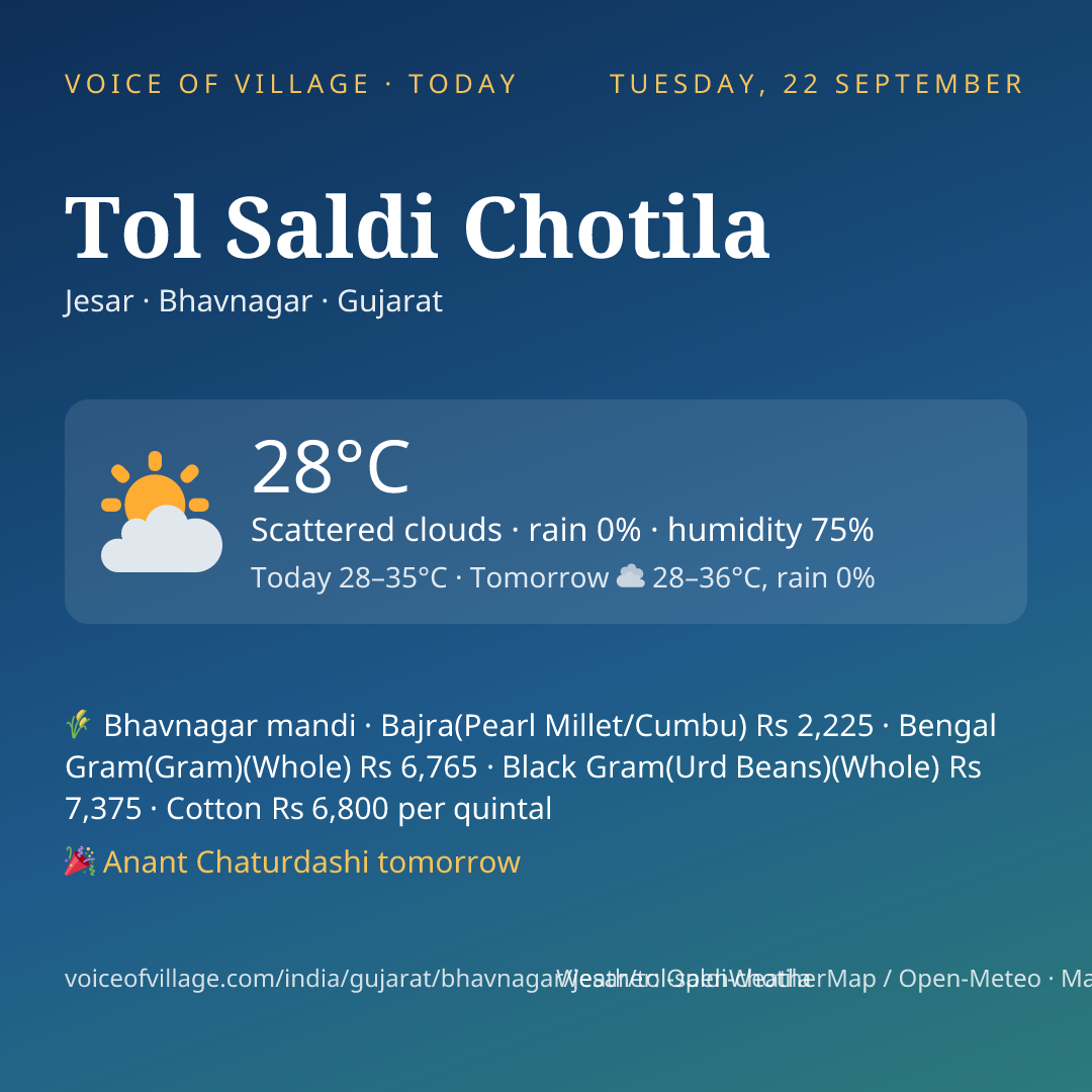 Tol Saldi Chotila today