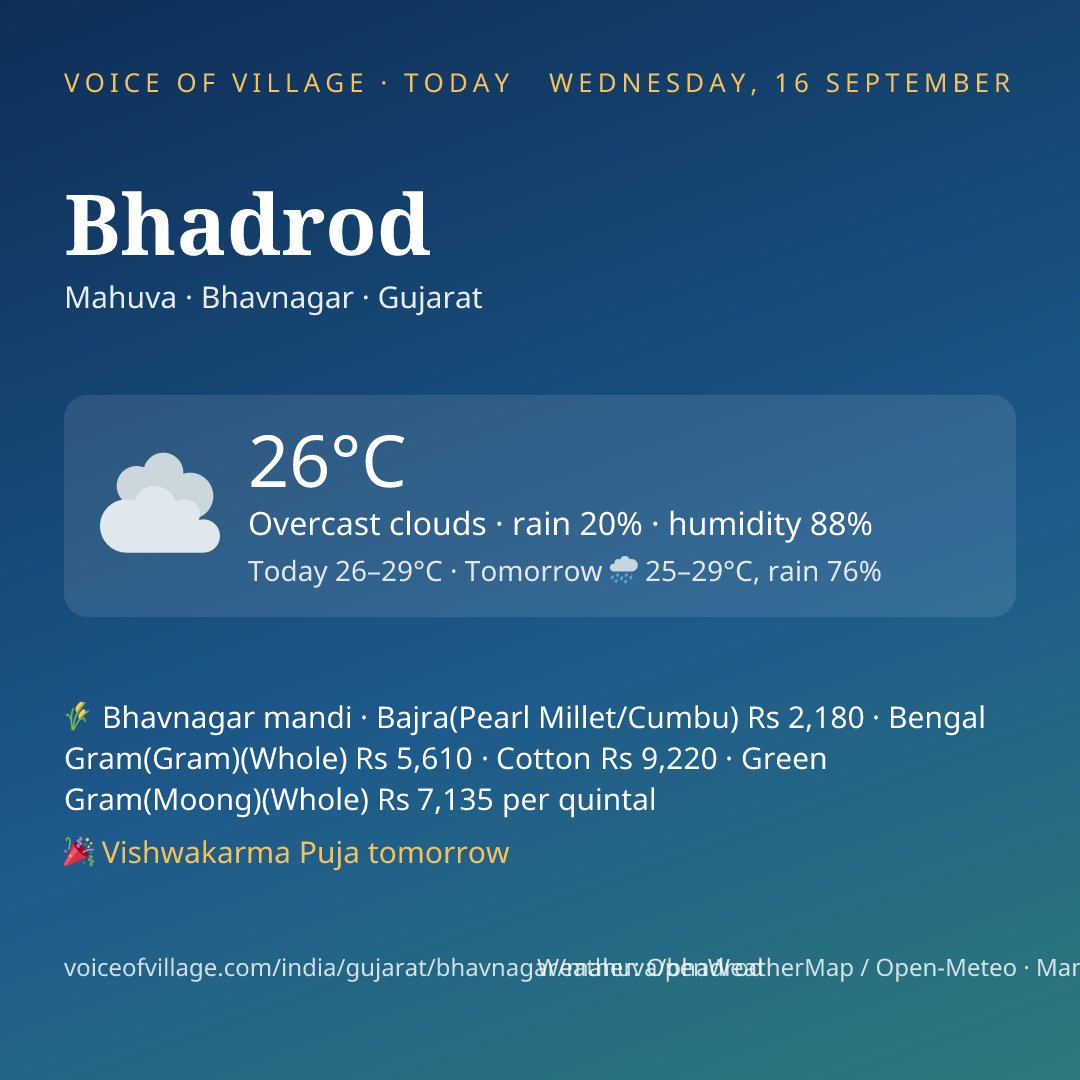 Bhadrod today