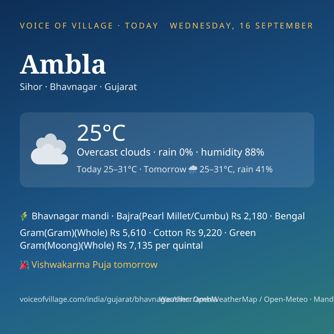 Ambla today