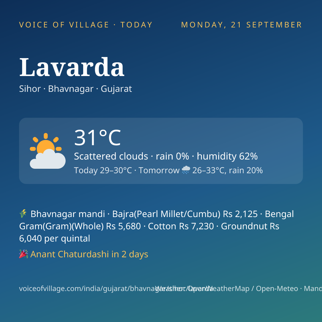 Lavarda today